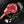 Certified ONYA® Tomahawk Ribeye photographed raw with beautiful marbling. Shown with garnishes including sea salt, rosemary, and whole garlic cloves. 